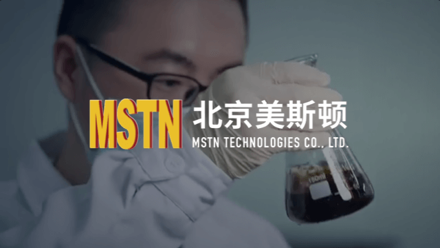 美斯顿官网