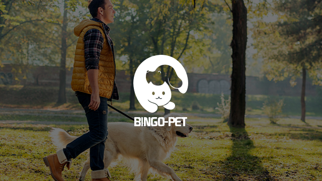 BINGO-PET宠物喂养