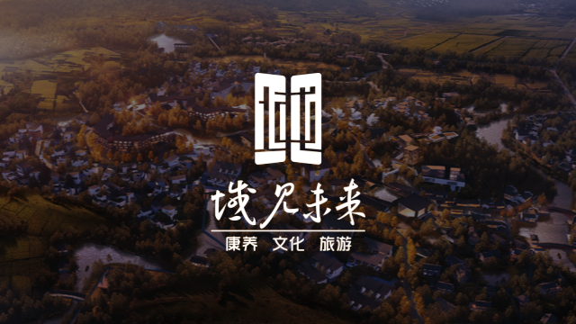 域见未来
