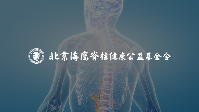 海鹰脊柱